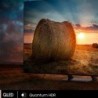 Televisor Led 85" Smart Tv 4K Qled 85Q70AA SAMSUNG